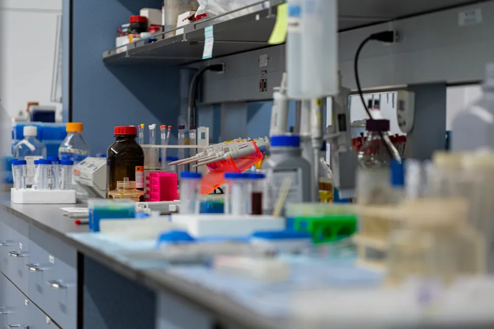 Laboratory bench with pipettes, sample tubes and reagent bottles on shelves above
